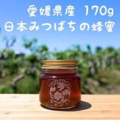 日本ミツバチの蜂蜜 170g 純粋100% ”おかげさん” 愛媛県産 はちみつ