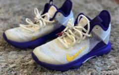 NIKE ナイキ バスケットボール レブロン ウィットネス 4 25cm