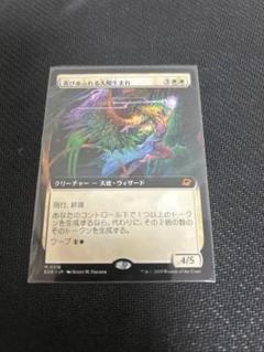 MTG　喜びあふれる太陽生まれ　ボーダーレス