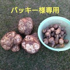 2025年最新】八頭芋の人気アイテム - メルカリ