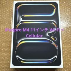 iPadpro M4 11インチ Wi-Fi + Cellular