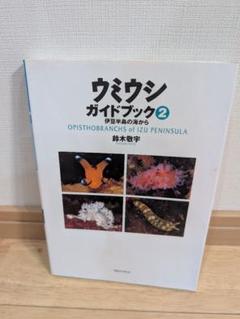 ウミウシガイドブック2 伊豆半島の海から
