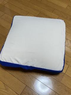 トゥルースリーパー　低反発座布団