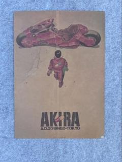 Akira Art of Wall