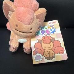 2025年最新】へんしんメタモン ぬいぐるみ ロコンの人気アイテム
