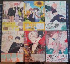 BL漫画セット（23冊セット） - メルカリ