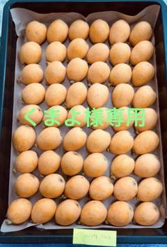 【くまよ】静岡産びわ　なつたより　秀品特大2Lのみ！54個約3.5kg くまよ様専用】静岡産びわ なつたより 秀品特大2Lのみ！54個約