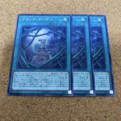 ブラック・ローズ・ドラゴン2枚セット 103387jat_1.jpg