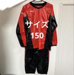 楽天市場】ジャージ 上下（ピステ｜メンズウェア）：サッカー