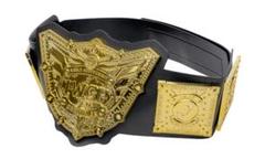 WWEプロレス『世界ヘビー級チャンピオンベルト(プラスチック中国