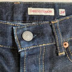 DRESSTERIOR インディゴ　ストレートデニム 34