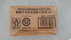 GRIDMAN STYLING グリッドマン 新条アカネ 宝多六花 セット