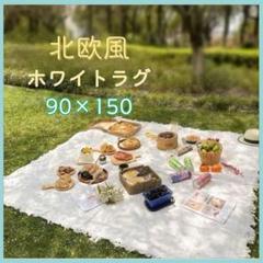 北欧風 ラグマット ホワイト ピクニック 撮影背景