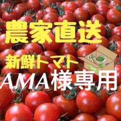 AMA様専用 ミニトマト1kg