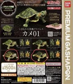 2025年最新】いきもの大図鑑アドバンスかめ01の人気アイテム
