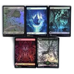 ★バラ売り可★7版基本地形 日本語Foil 275-361.jpg