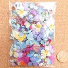 H28/訳ありドライフラワー押し花 花材 詰め合わせ - メルカリ