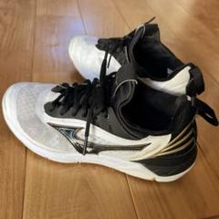 Mizuno バレーボールシューズ ウェーブルミナス02 ドイツモデル Mizuno バレーボールシューズ ウェーブルミナス02 ドイツモデル