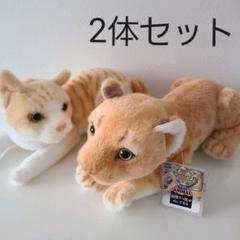 猫のぬいぐるみ リアルの中古 未使用品を探そう メルカリ