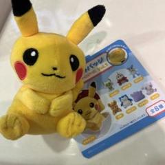 2025年最新】ポケモンセンター ぬいぐるみ タグ付きの人気