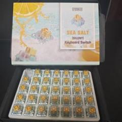 【非静音】EPOMAKER Sea Salt 34個