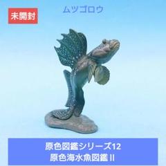 ムツゴロウ 原色海水魚図鑑 未開封【ユージン】原色図鑑シリーズ12 原色海水魚図鑑Ⅱ 14