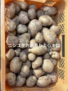訳あり(硬めが多め)　箱込み10キロ 訳あり(硬めが多め) 箱込み10キロ