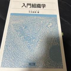 m14950656926_1.jpg?1677851004
