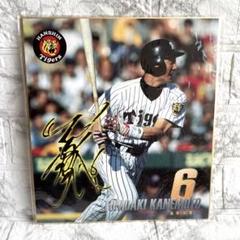 阪神タイガース 金本監督★シークレット★ミニ色紙 金本知憲 阪神タイガース#6 サイン色紙 既製品 兄貴 はんしん 虎