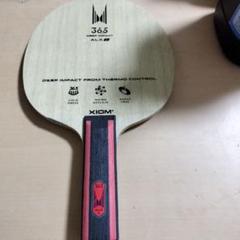 【最終値下げ】XIOM 365 ALX i ST 87g