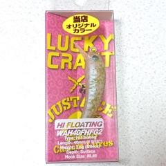 ラッキークラフト　ワウHFG2 神楽　美鬼 Amazon.co.jp: 美鬼 ラッキークラフト ワウ40F HFG2 オオツカ