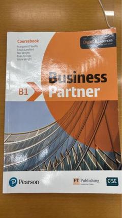 Business Partner B1 GSE