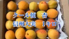 クール便　杏　大実　1キロのサムネイル