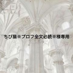 ♡ プロフ必読さま専用 ♡【プロフ必読*:.ʢ• •ʡ♡m.m様】専用ページ♡ - メルカリ