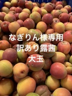和歌山県紀南産　訳あり露茜5㎏ ✖️4箱　大玉 2umetuyu1_2.jpg