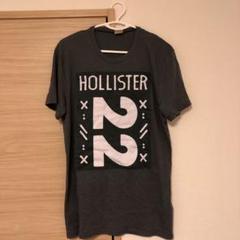 ホリスター Tシャツ グレー