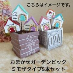 おまかせガーデンピックミモザタイプ5本セット