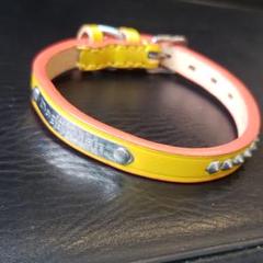 革☆ドギーマン☆小型犬☆首輪☆黄色
