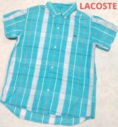 LACOSTE　半袖シャツ　襟付き　綿100%　水色　チェック柄