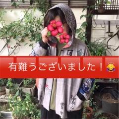 古布リメイク】柿渋&鉄媒染の手ぬぐいブルゾン - メルカリ 古布リメイク】柿渋&鉄媒染の手ぬぐいブルゾン - メルカリ