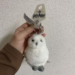 特価 ハリーポッタースタジオツアー ヘドウィグ ドビー セット メルカリのみ出品 ヘドウィグ⭐︎キーホルダー⭐︎ハリーポッタースタジオツアー