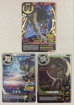 アニマルカイザー　カード　 ハクトウワシ　月墜落　セット アニマルカイザー カード ハクトウワシ 月墜落 セット