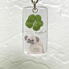 五つ葉のクローバー&振り向きパグちゃん　犬レジンキーホルダー　ハンドメイド