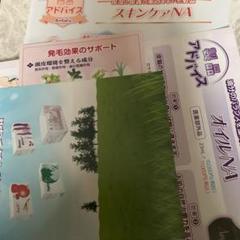 ◉アンファティ基礎NA3点ユース大エッセンスオイル計6点