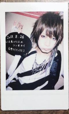 DaizyStripper 夕霧さん チェキ147枚 DaizyStripper 夕霧さん チェキ147枚