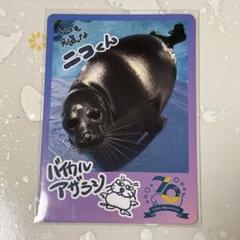 2025年最新】鳥羽水族館 70周年の人気アイテム - メルカリ