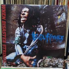 Busta Rhymes/WHEN DISASTER STRIKES.../LP