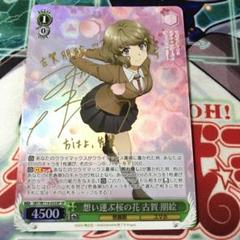 2025年最新】ヴァイスシュヴァルツ SP 想い運ぶ桜の花 古賀 朋絵