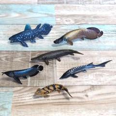 カロラータ 立体図鑑 古代魚 6種セット フィギュア リアルフィギュアのサムネイル