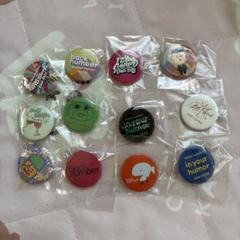 backnumber☆バッジ　全12個